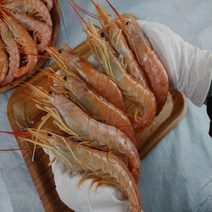 랍스타 맛이 나는 대왕 킹단새우 1kg+1kg 무료배송!, 1kg+1kg 총2kg