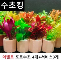 수초맛집 수초킹 키우기 쉬운 포트수초랜덤+모스볼 마리모 부상초 비료 중 랜덤지급, 4개