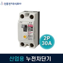 진흥전기 누전차단기 산업용 2P30A JEB-E2S 2.5kA, 1개