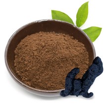 동의한약나라 구증구포 숙지황 분말 100g 국내산, 1개
