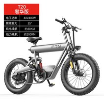 ftn 리튬 배터리 오프로드 전기 자전거 새로운 스쿠터 20 인치 산악 자전거 해변 오토바이 배터리 자동차, 48v, 20아, t2048v20ah럭셔리 버전7단 변속크루즈 약