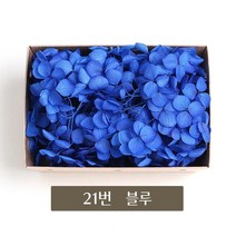 화연양화 블루밍수국 박스수국 컬러최다 30색! 프리저브드플라워, 21 블루