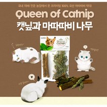 국산캣닢 고양이힐링 노르웨이숲 뱅갈 고양이놀이 이갈이장난감