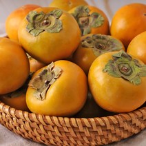 단감아저씨 이용수님의 진영 단감 5kg 25과 내외(중과), 단품