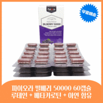 눈에좋은영양제 빌베리 2개월분 루테인 추출물 영양제 베타카로틴 아이브라이트 눈 건강 뉴테인, 1통(+ 비누)