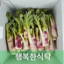 두릅 땅두릅 1kg 행복한식탁