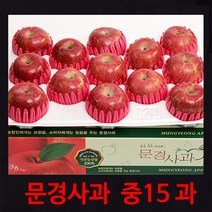 [경북문경사과] 먹기 좋은 크기의 아삭하고 새콤 달콤한 가정용 실속포장 2kg~10kg, 1박스, (중15과)5.4kg내외