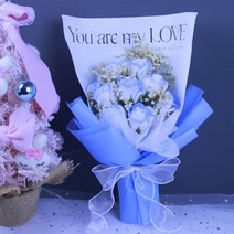 재롱잔치꽃다발 누장미드라이플라워아기부케연인여친구 화이트데이꽃다발, 26. 푸른 별이 빛는 하늘 + 물 상 가방 램프