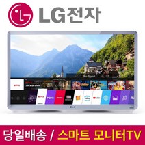 LG전자 캠핑용 모니터 룸앤스마트 TV 27TN600S