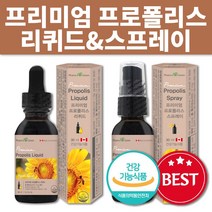 프리미엄 프로폴리스 리퀴드 스프레이 항산화 구강 향균작용 플라보노이드 효능 캐나다직수입, 프로폴리스 스프레이 1박스