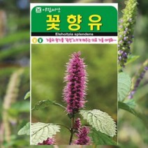 꽃향휴 씨앗 3000립/ 야생화 종자 꽃씨 몰 주말농장 텃밭 홈가드닝 키우기
