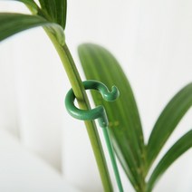 갑조네 오링지지대 넝쿨 화분 원형 화초 지주대 5개묶음, 오링지지대 17cm(5개묶음), 5개