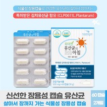 프로바이오틱스 프락토바실러스 플란타럼 불가리쿠스 아연 특허받은 김치 유산균 함유 장용성 알약형태 프로 바이오 스틱 캡슐, 60 캡슐 X 3개