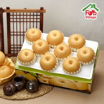 [푸드빌리지] 과즙이 펑펑 시원한맛 가득찬 배 나주배 가정용 15Kg, 1박스, 5Kg 가정용 10과내