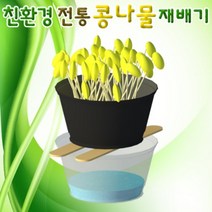친환경 전통 콩나물 재배기(대형), 1개