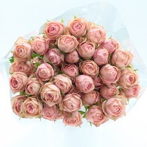 자나 장미 (강남 고속터미널꽃시장 도매시장에서 발송하는 생화택배) 꽃정기구독가능, 취소처리(취소선택시 다른꽃변경불가), 금~일요일 구매시 (화요일 도착)