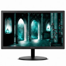 [비트엠] Newsync B195H 프리싱크 HDR