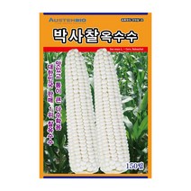 오스템 옥수수씨앗 박사찰옥수수 150립, 1개