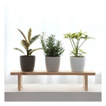 플라팜 편백나무 화분 선반 대, 우드, 1단