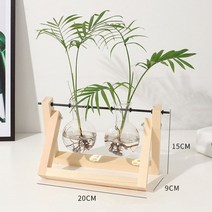 수태봉 콩나물키우기 딸기 수경 재배 terrarium creative hydroponic plant transparent vase wooden frame vase glass, 21x16cm 밝은 색상