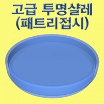 투명샬레 패트리접시 (5세트) 패트리접시 투명샬레 과학 교구 생물배양