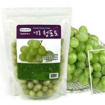 [우리존] SOM 냉동과일 청포도3kg(1kgx3팩)/씨없는 포도 탐슨시들러, 상세 설명 참조