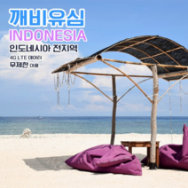 깨비유심 인도네시아 전지역 4G LTE 데이터 8일 이용 유심 출국전 불량 유심 확인 가능 (4362533), 김해 공항 수령