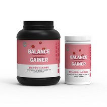 헬스단백질 보충제 벌크업 스트로베리맛 750g 2kg