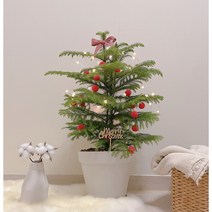 아라우카리아 대품 빤짝이 오너먼트 크리스마스트리 키우기 쉬운 멋스런 실내 화초 식물 카페 인테리어 공기정화, 베이지화분, 1.빤짝이 오너먼트(베이지)