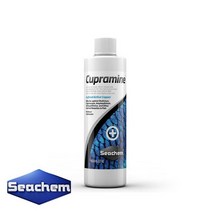 바보사랑 시켐 큐프라민 100ml 담수 해수 백점병 오디늄병.수이사쿠