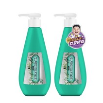 덴티본조르노 아토세이프 덴티본조르노 펌핑 푸쉬 구취케어 치약 285g 2개입, 단일옵션