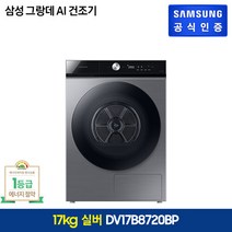 Samsung 삼성 BESPOKE 건조기 그랑데AI 17kg DV17B8720BP, 실내설치, 단일옵션