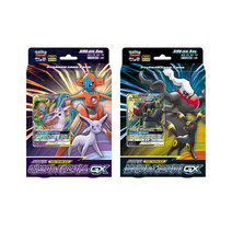 포켓몬스터 포켓몬 카드 TAG TEAM 에브이&테오키스 GX