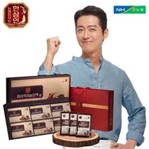 한삼인 홍삼흑마늘진액 60mL x 30포 2세트, 단일상품/단일상품