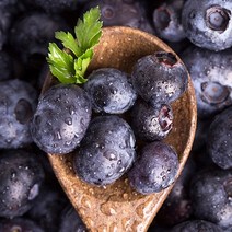 고당도 달콤한 생블루베리 1KG 14MM 국내산 슈퍼푸드 먹는법 묘목재배 부르 의령 그릭요거트 냉동