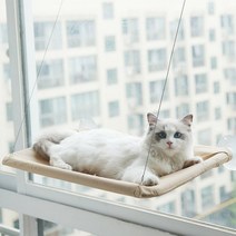 고양이창문해먹 고양이윈도우해먹 고양이해먹 캣선반