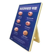 자궁경부모형 (79733) 자궁경부암의 위험 미국 인체모형