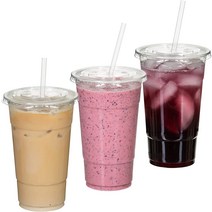 Nicole Fantini's 16 oz Clear Plastic PET Cups With Flat Lid & Straw BPA-Free Perfect for I, 01 100