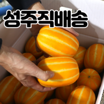 내고향농수산 참외 성주참외 직거래 꿀참외 특등품 2kg 3kg 5kg 10kg, 성주 참외 3kg
