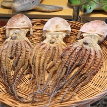 말린문어 건문어 여수산 돌문어 사이즈다양 마른문어, 03.돌문어(프리미엄)1마리(250g이상)