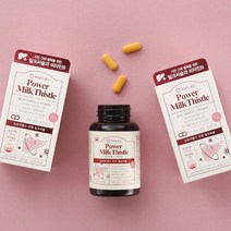 뉴트리랩스 파워 밀크씨슬 1350mg 120정 4개월분 간 피로회복 활력비타민 고함량 비타민B, 1350mg X 60정, 2박스