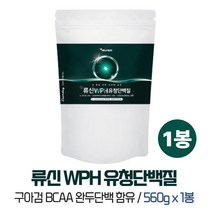 류신 WPH 유청단백질 분말 파우더 가수분해물 BCAA 구아검 완두단백분말 비타민미네랄 함유 헬스 프로틴 보충제 운동후 복근 팔근육