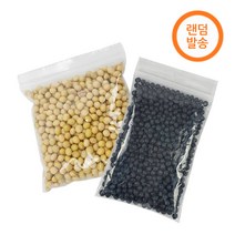 국산 콩나물콩 100g 유태/흑태 콩나물재배 콩나물시루콩 (랜덤), 1개