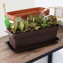 물빠짐구멍 받침대 직사각형 테라스화분 인테리어화분 어린이집 은행, 화이트