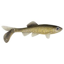 Berkley PBBSF3-BSHG PowerBait Sick Fish Swimbait Fishing Bait 3” 5 Count Blue Shiner Gold (Pack o, 1
