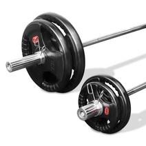 카르빈 바벨 중량 원판 (2.5kg부터 25kg까지) 1개, 10kg