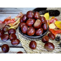 옥광밤/임금님 진상밤/1kg 2kg 4kg, 옥광(대)2kg