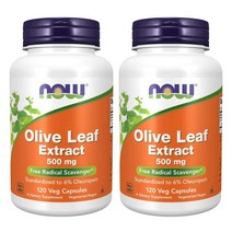 나우 올리브잎 추출물 500mg 120캡슐 2팩-6% 올유로핀 Now Foods Olive Leaf Extract 6% Oleuropein (미국배송)
