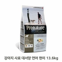 RT 피모 키블 강아지 사료 연어 현미 13.6kg 애견 개밥, 단품