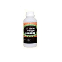 바른황토 자연정원 냄새없는 천연 페인트 1L, 백토